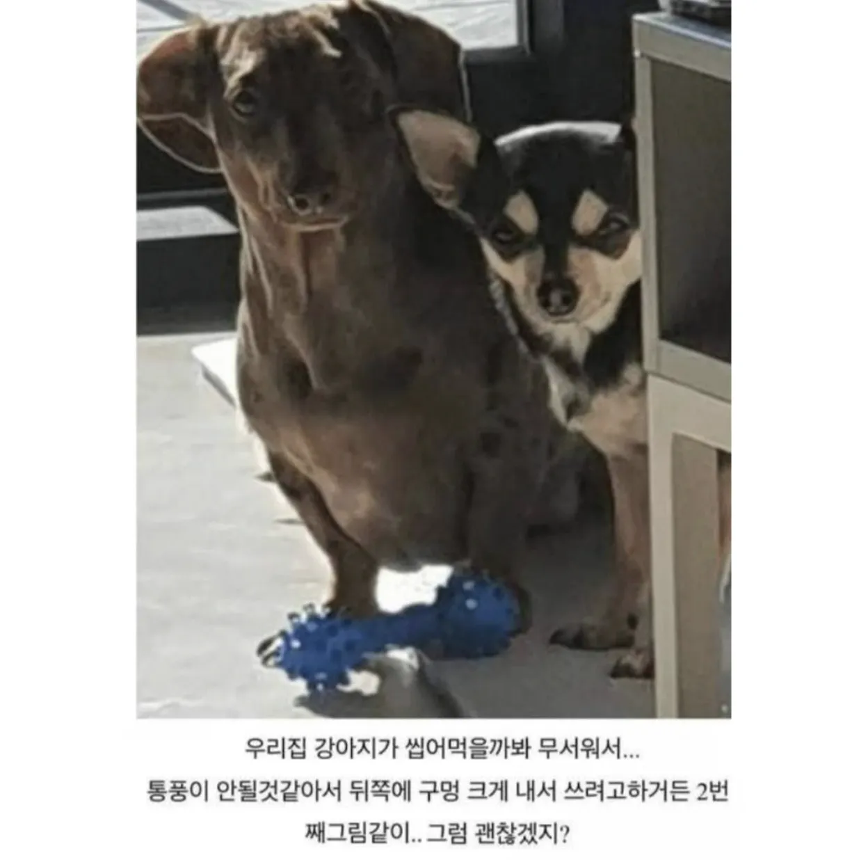 게임기를 숨기려고 하는 이유.jpg