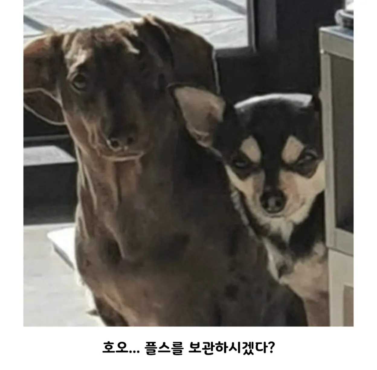 게임기를 숨기려고 하는 이유.jpg