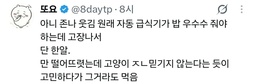 고장난 자동급식기를 바라보는 고양이.mp4