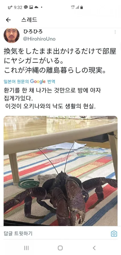 오키나와에 살면 얻는 선물.JPG