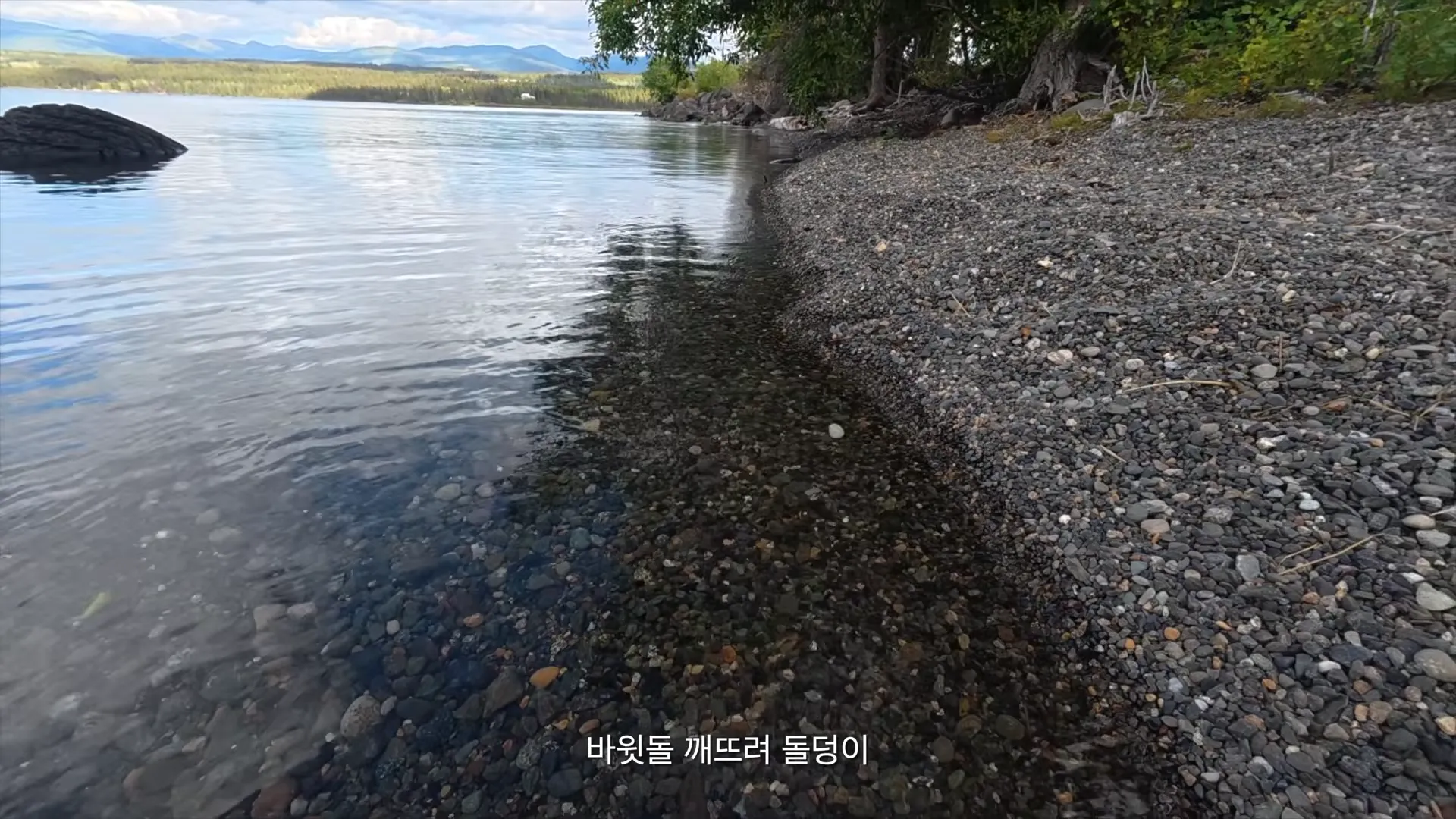 요즘 시대에 맞게 개사된 동요