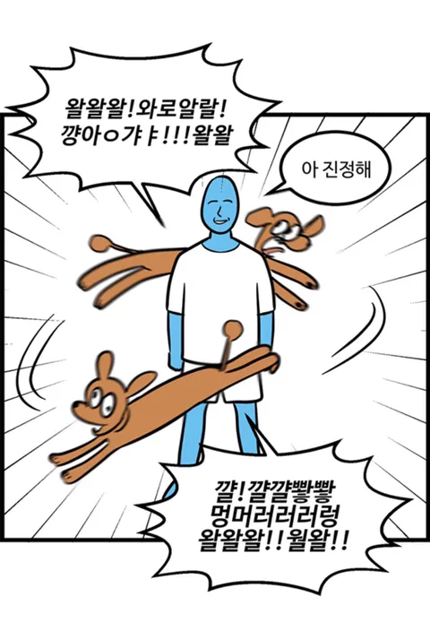 푸들의 우다다가 끝나는 시기.jpg