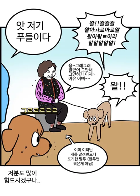 푸들의 우다다가 끝나는 시기.jpg