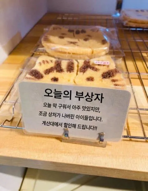 왁자지껄 우당탕탕 지구촌