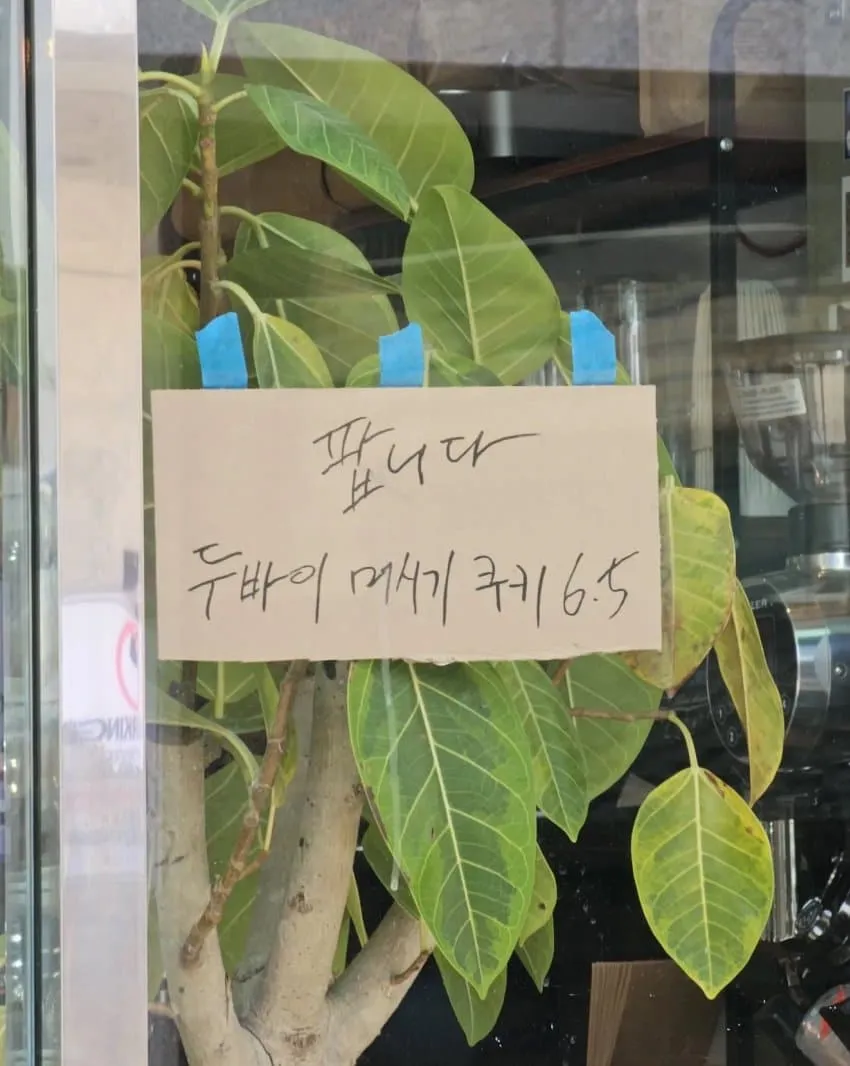 왁자지껄 우당탕탕 지구촌