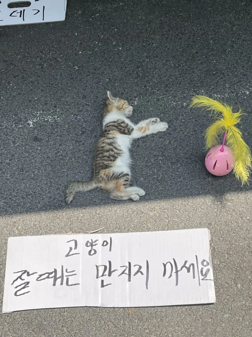 왁자지껄 우당탕탕 지구촌