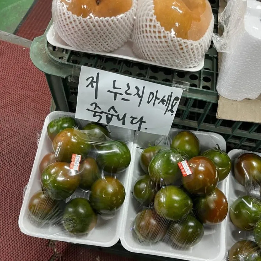 왁자지껄 우당탕탕 지구촌