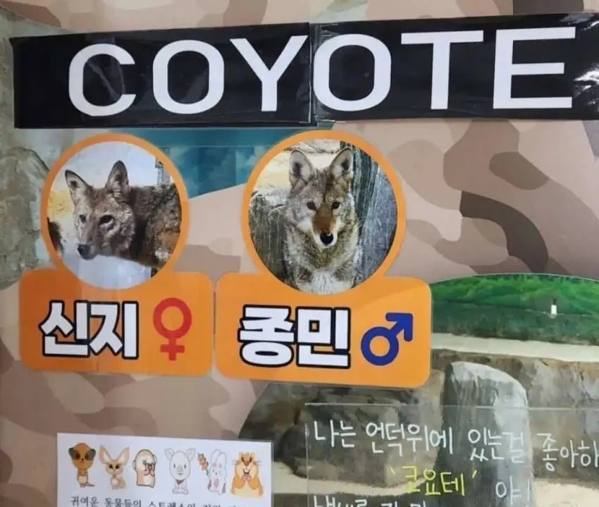 왁자지껄 우당탕탕 지구촌