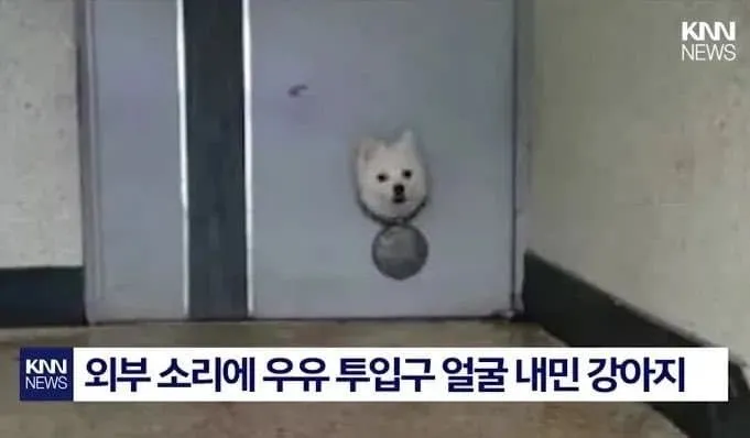 왁자지껄 우당탕탕 지구촌