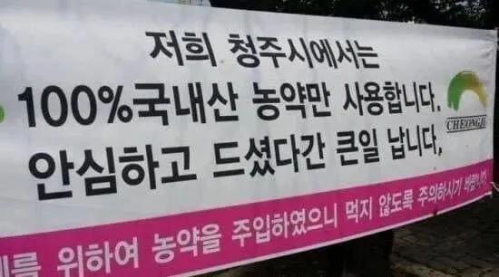 왁자지껄 우당탕탕 지구촌