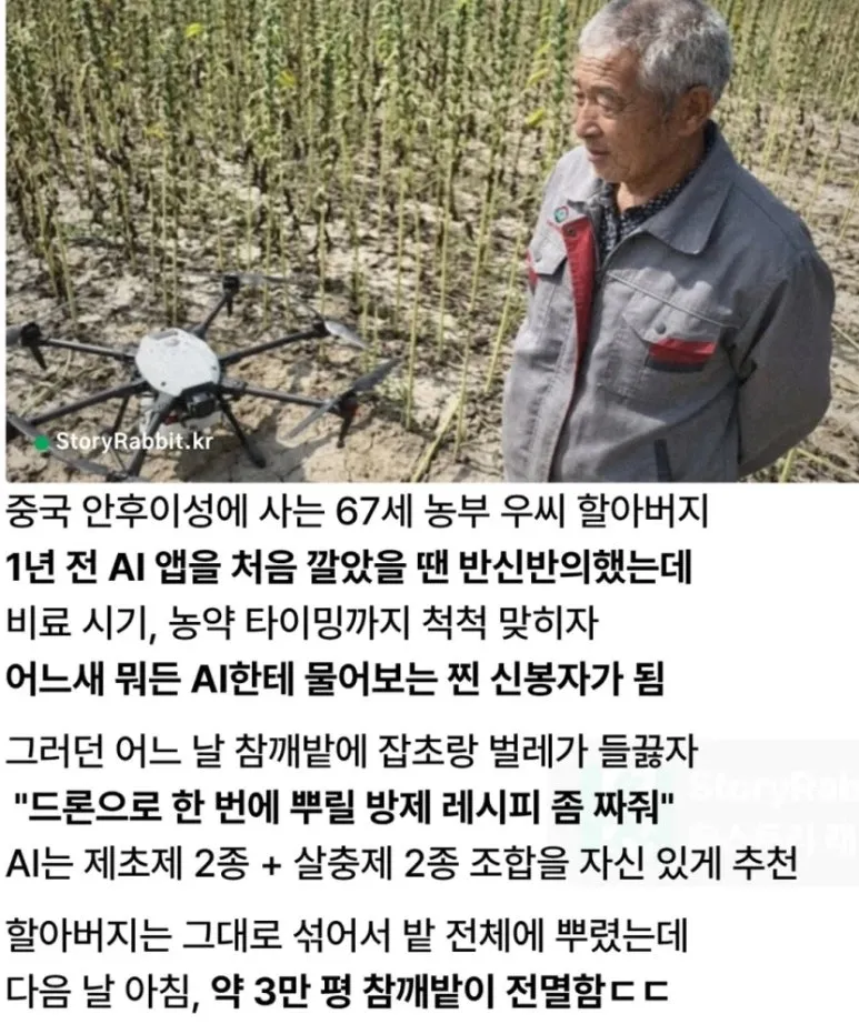 AI 믿고 농사 맡겼다가 벌어진 일