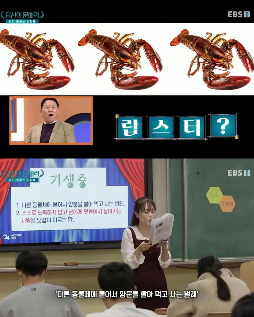 요즘 심각하다는 사람들 문해력 수준