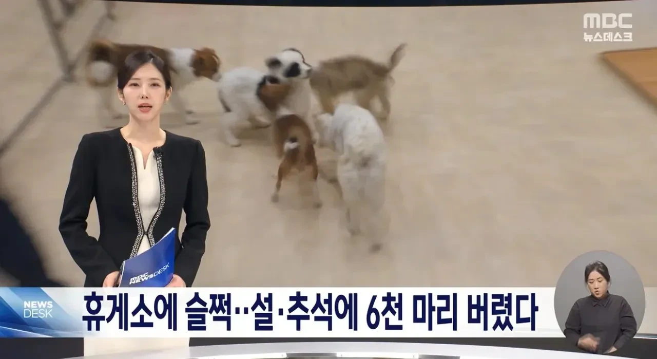 2020~2024 설, 추석 휴게소에 버려진 반려견 수..