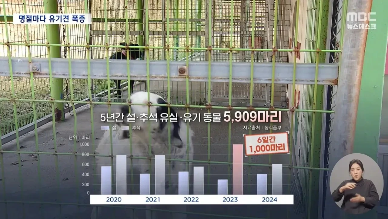 2020~2024 설, 추석 휴게소에 버려진 반려견 수..
