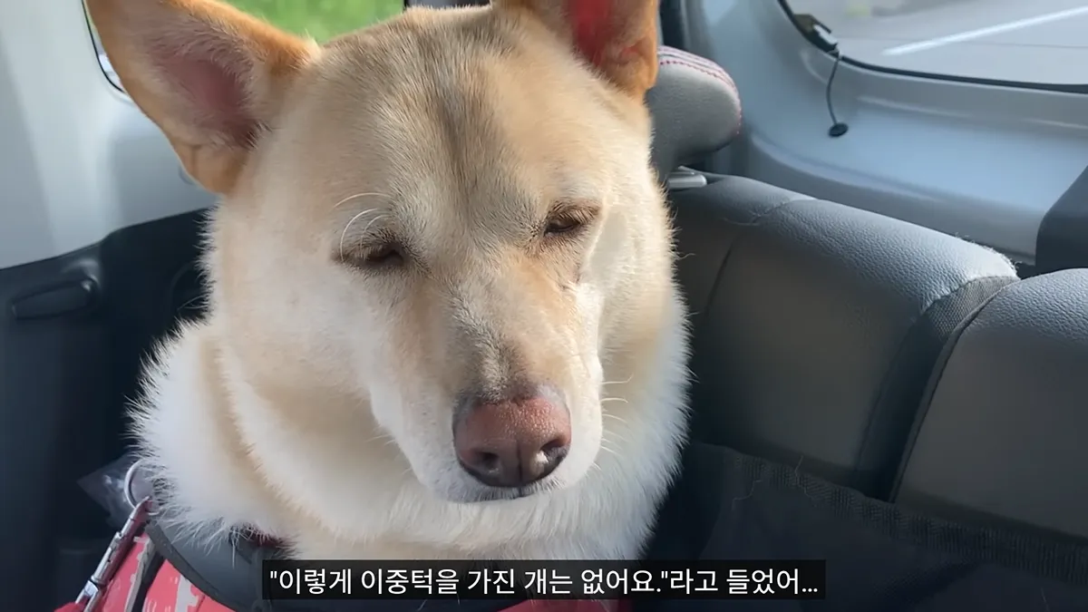 병원 의사에게 뚱뚱하다는 말을 들었어...jpg