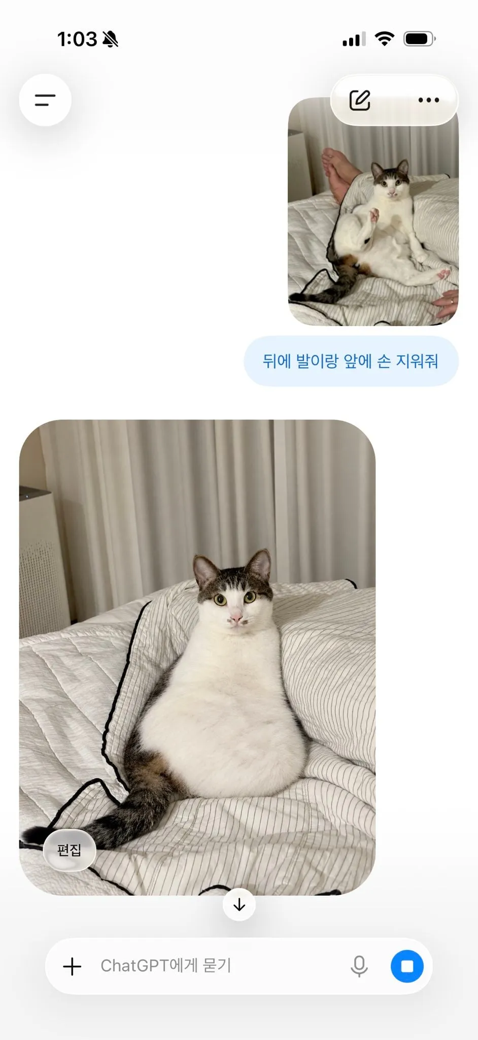 GPT야 뒤에 발이랑 앞에 손 지워줘