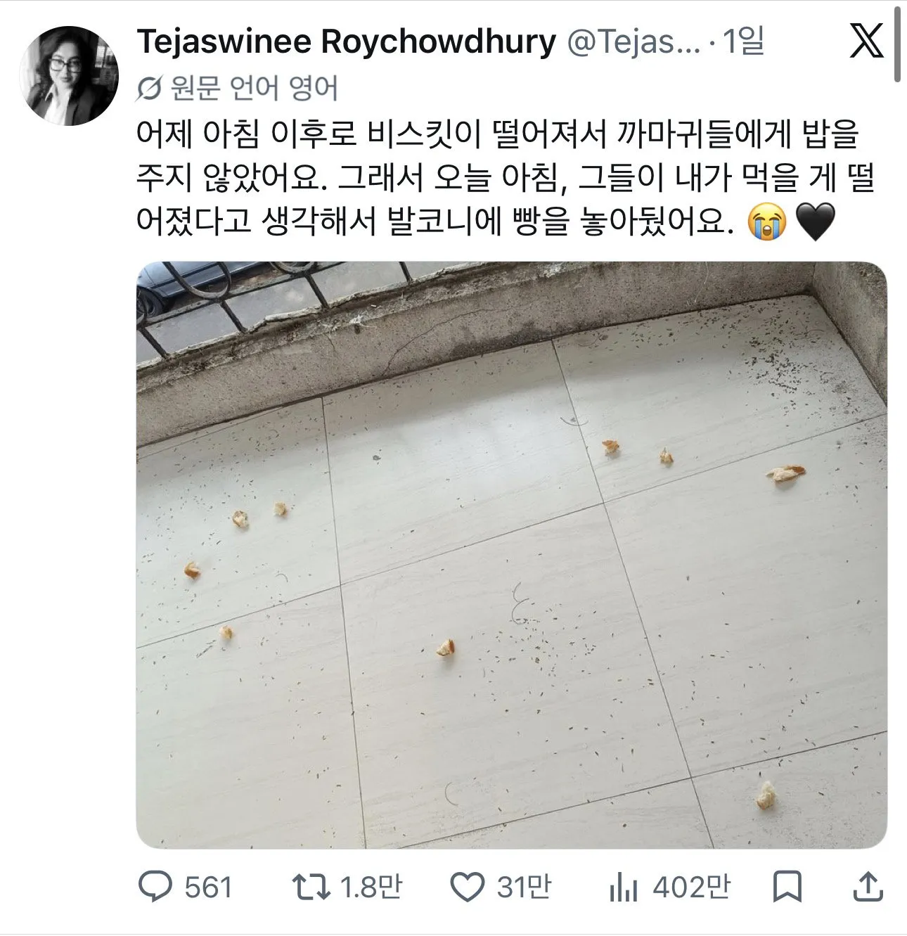 까마귀에게 밥을 주다 멈추면 생기는 일.jpg
