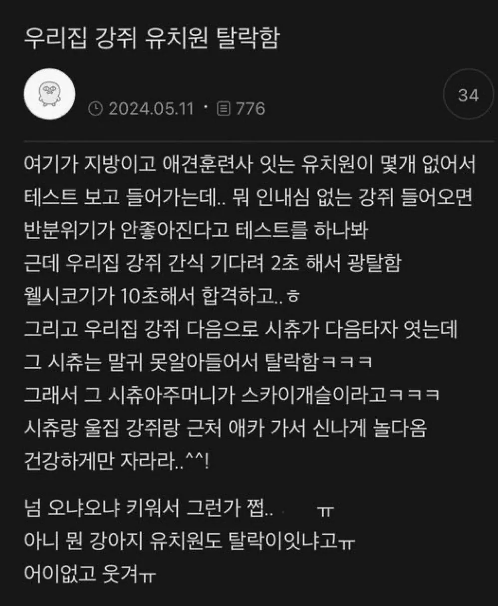 멍카이케슬 탈락한 강쥐