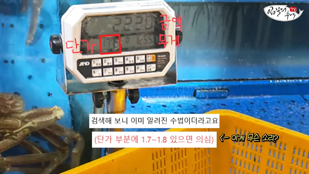 필독) 신종 수산시장 저울치기 수법 (feat. 암컷아저씨)