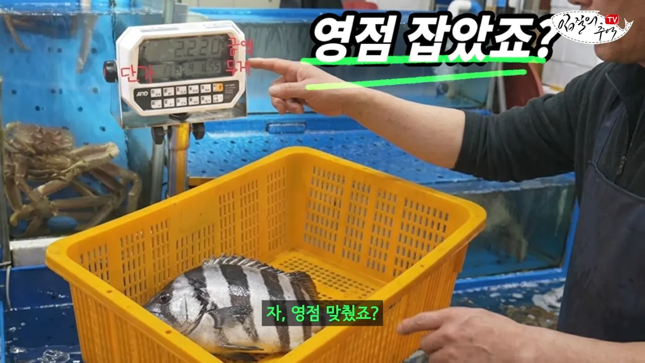 필독) 신종 수산시장 저울치기 수법 (feat. 암컷아저씨)