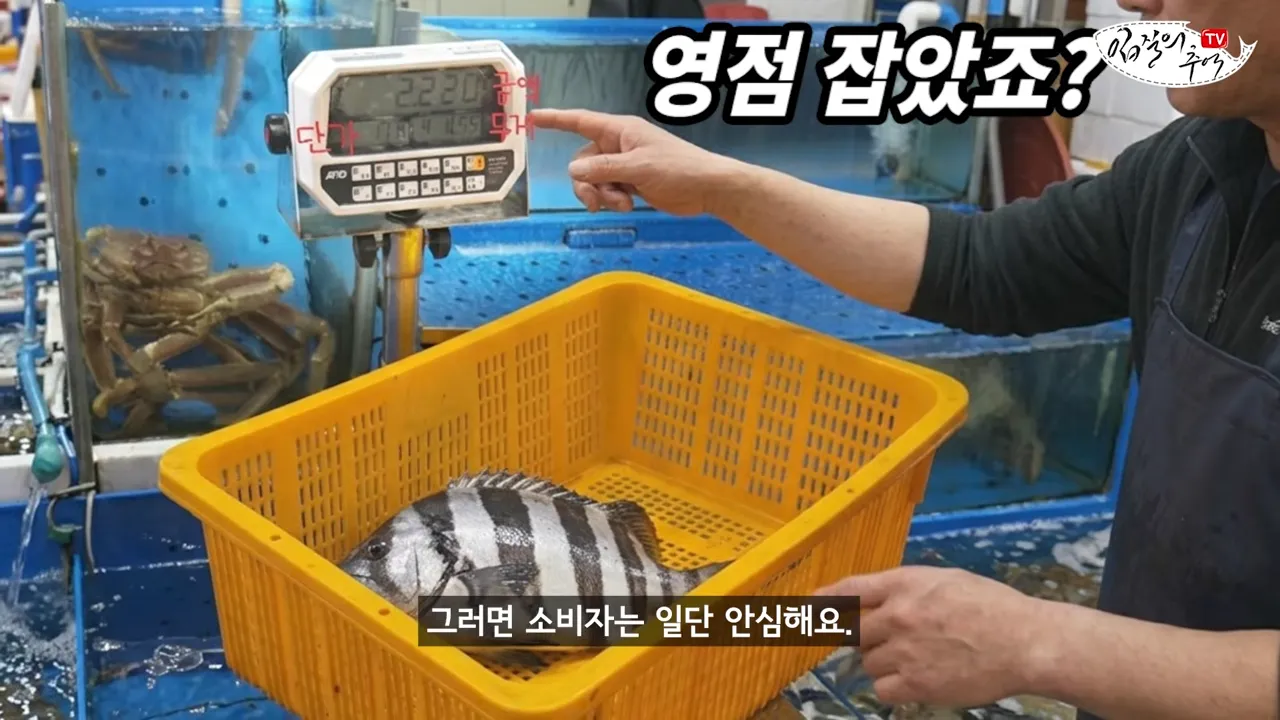필독) 신종 수산시장 저울치기 수법 (feat. 암컷아저씨)