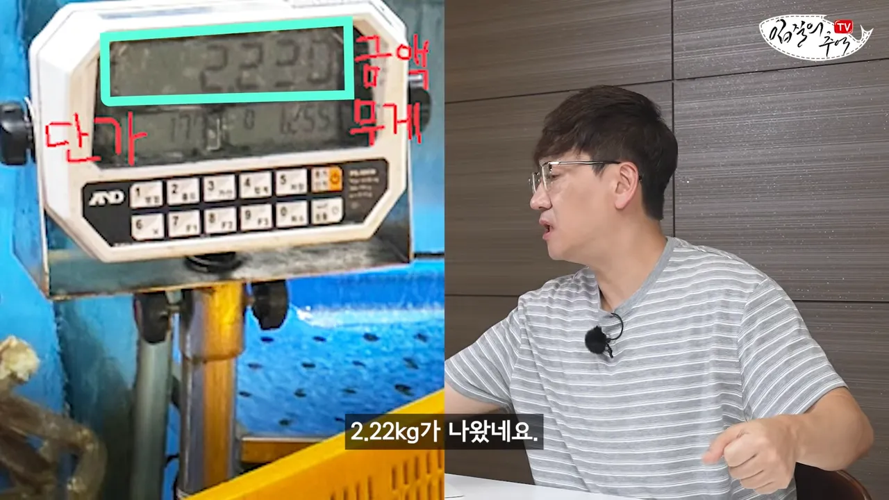 필독) 신종 수산시장 저울치기 수법 (feat. 암컷아저씨)