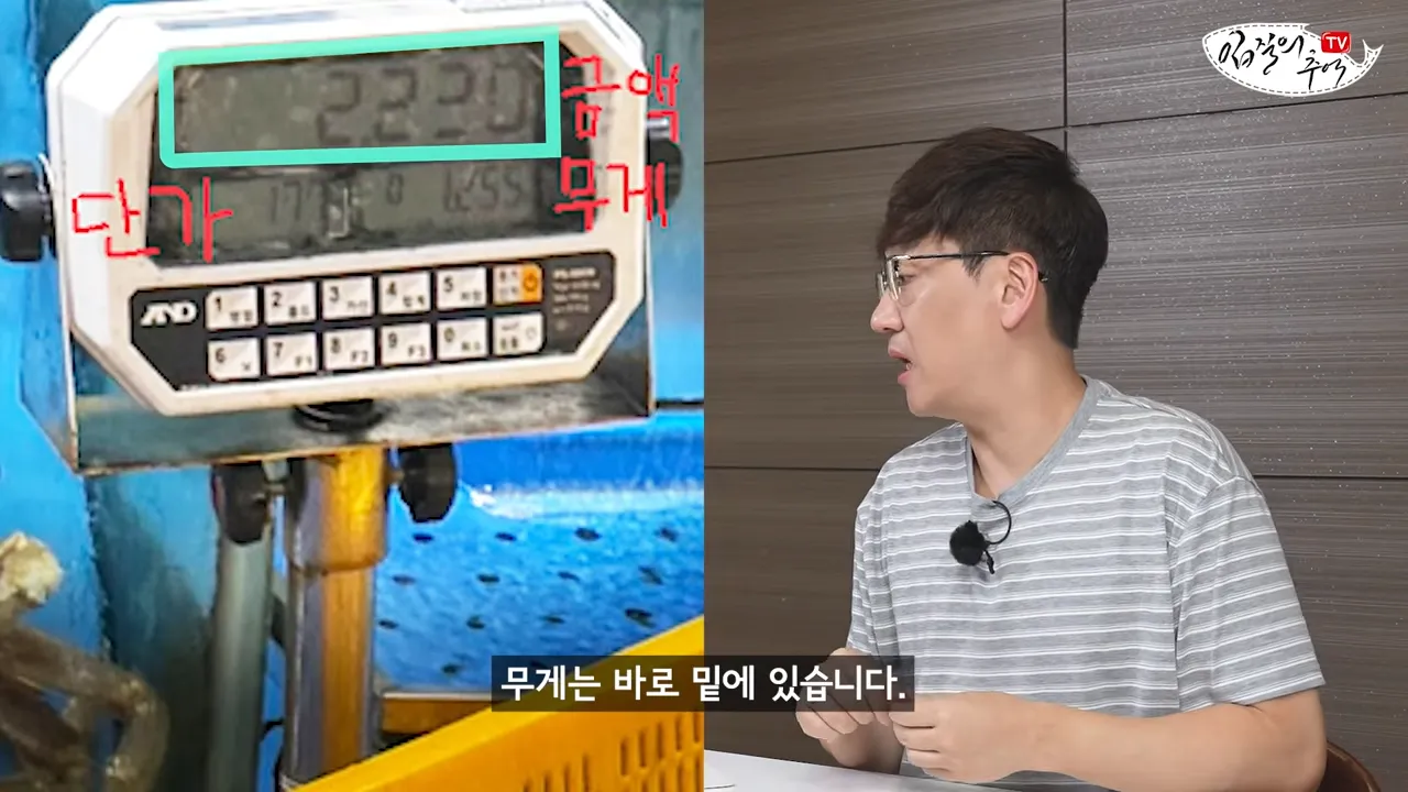 필독) 신종 수산시장 저울치기 수법 (feat. 암컷아저씨)