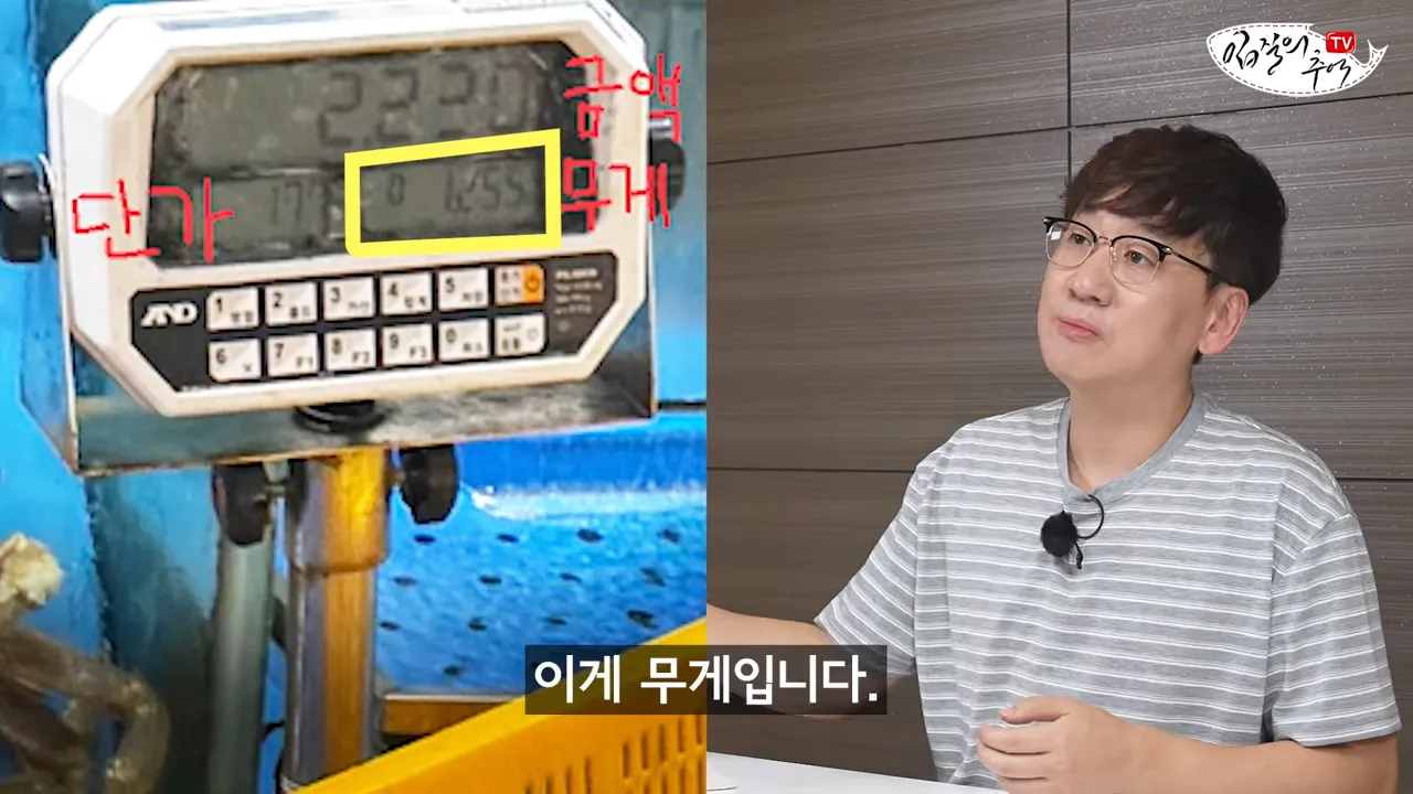 필독) 신종 수산시장 저울치기 수법 (feat. 암컷아저씨)