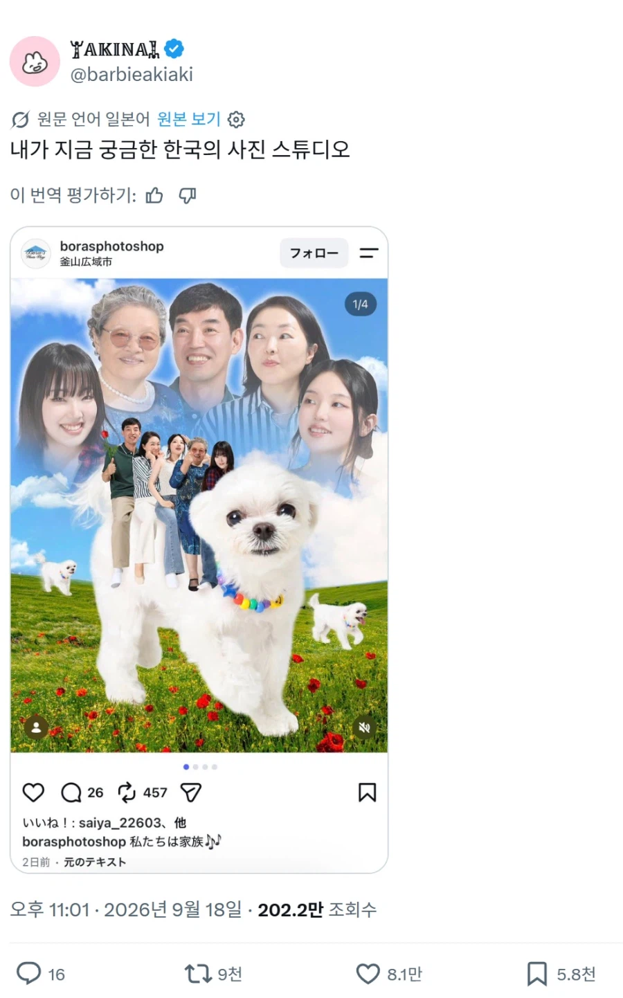 일본 트위터에서 소소하게 화제 중인 한국 사진 스튜디오