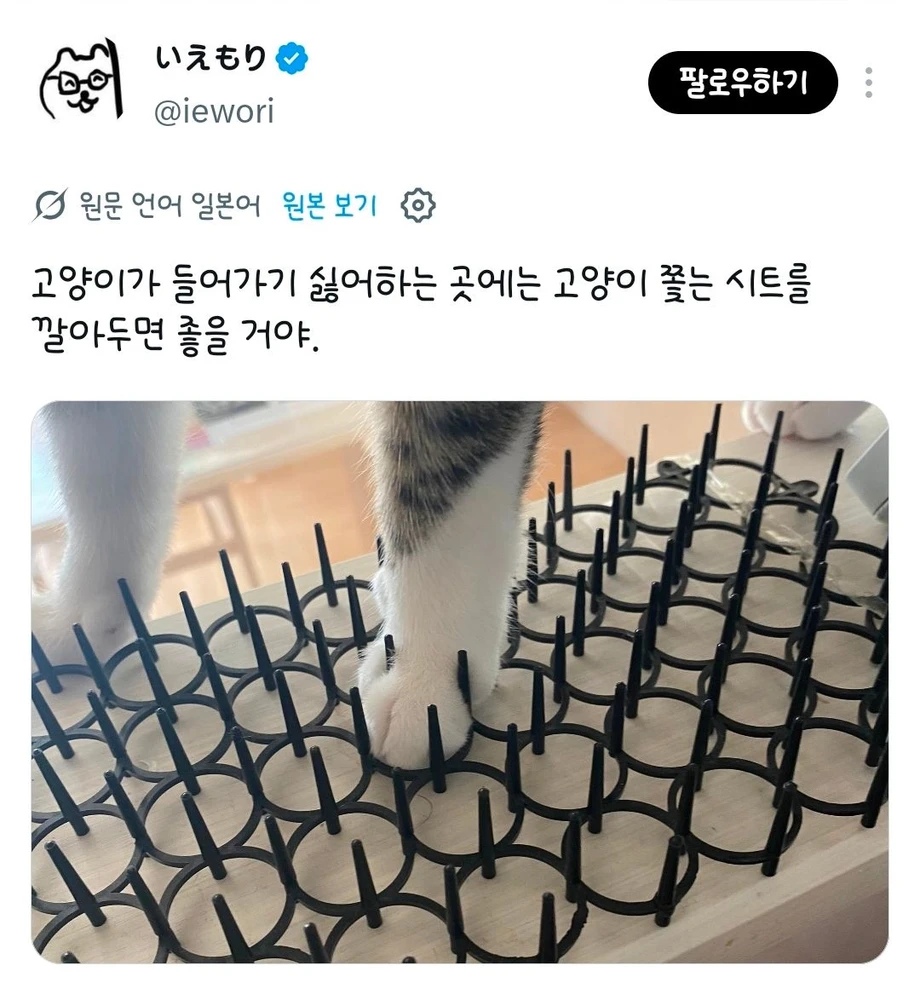 고양이가 들어가기 싫어하는 곳에는 고양이 쫓는 시트를 깔아두면 좋을거야