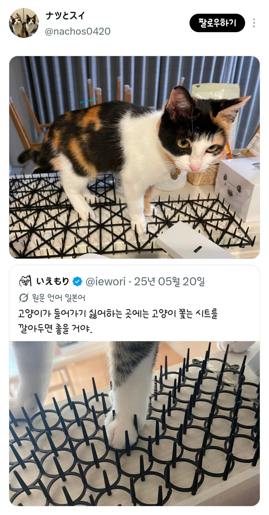 고양이가 들어가기 싫어하는 곳에는 고양이 쫓는 시트를 깔아두면 좋을거야