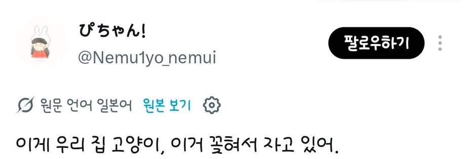 고양이가 들어가기 싫어하는 곳에는 고양이 쫓는 시트를 깔아두면 좋을거야