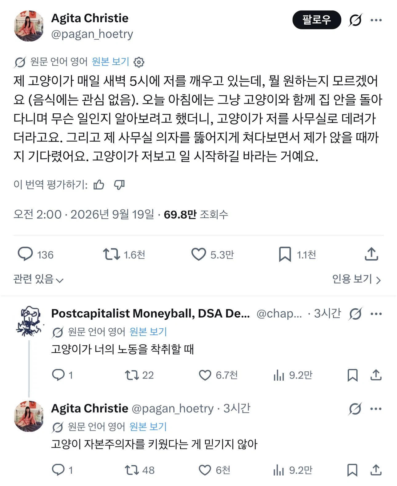 자본주의 고양이.jpg