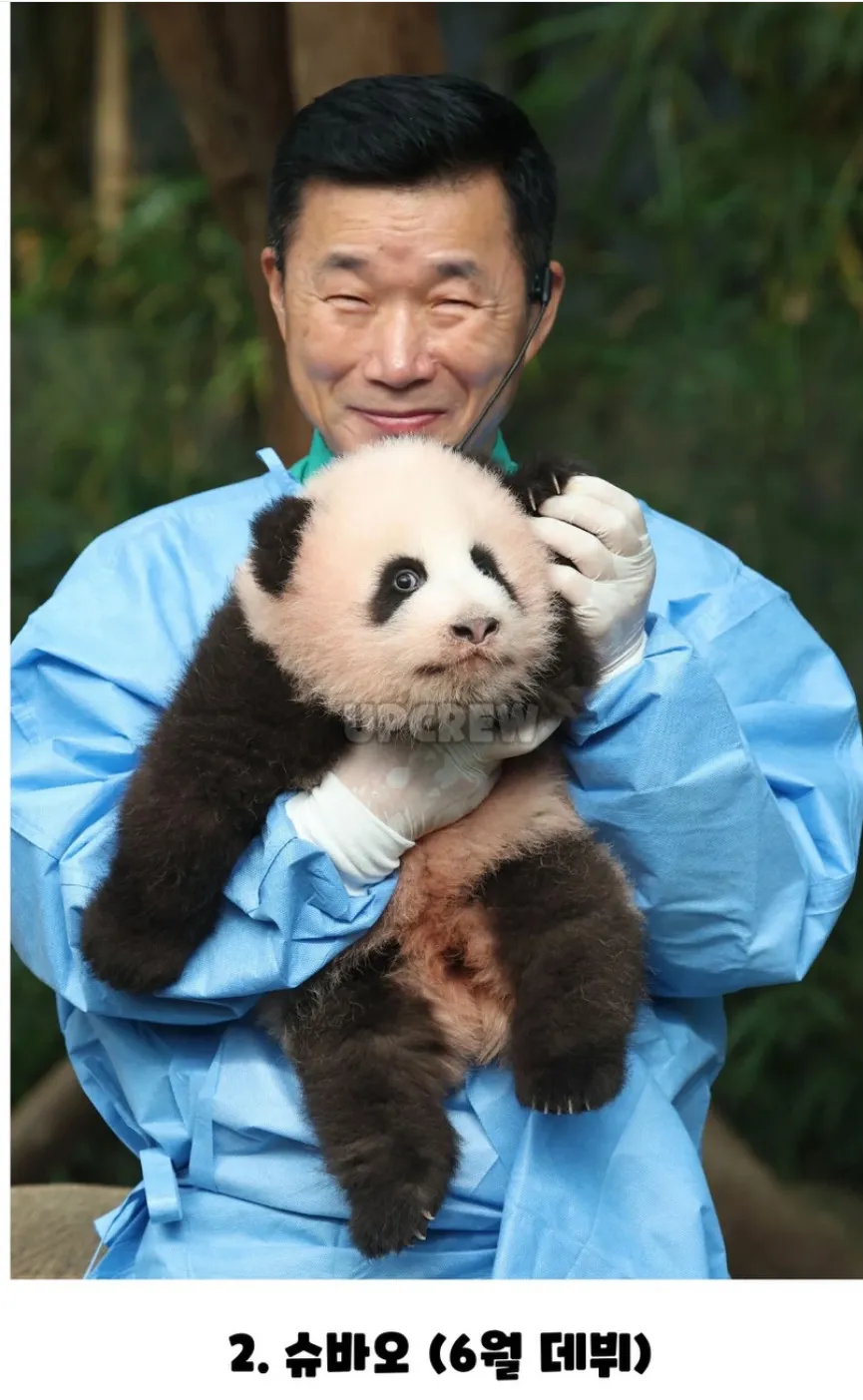올해 데뷔한 동물계 3대 신입