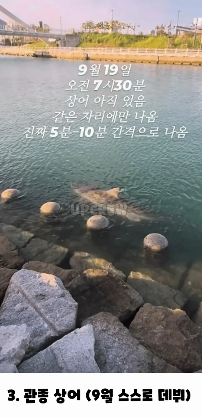 올해 데뷔한 동물계 3대 신입