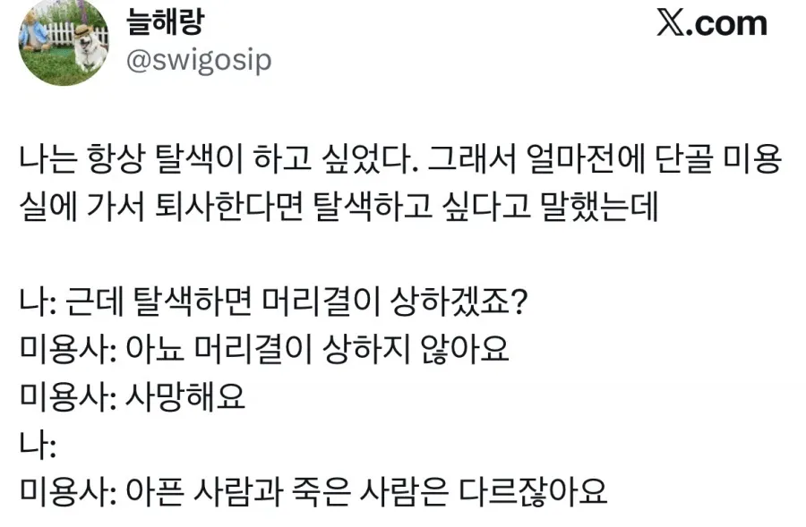 탈색한다고 머릿결이 상하는 건 아니다.jpg