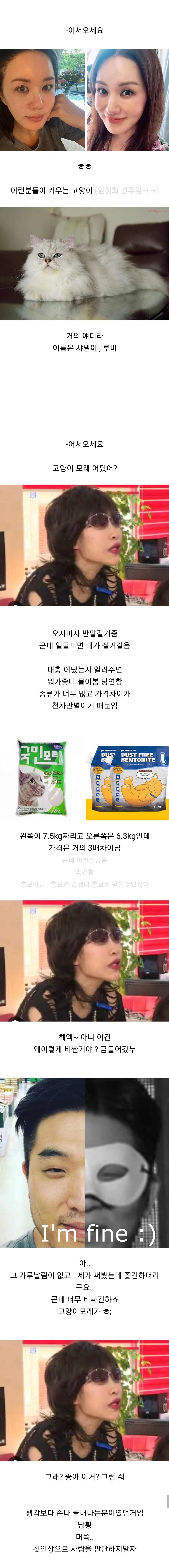 반려묘 용품샵에서 일하는 직원이 본 고양이 용품 사가는 손님들 관상