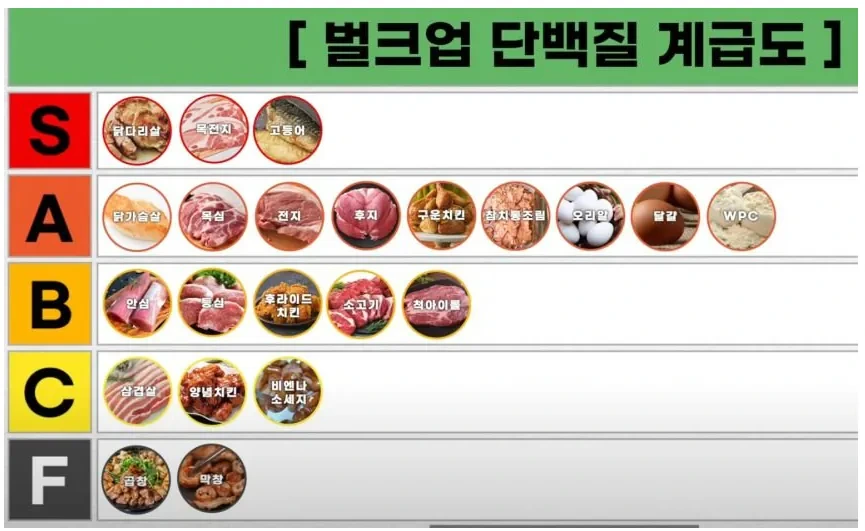 벌크업 단백질 계급도.jpg