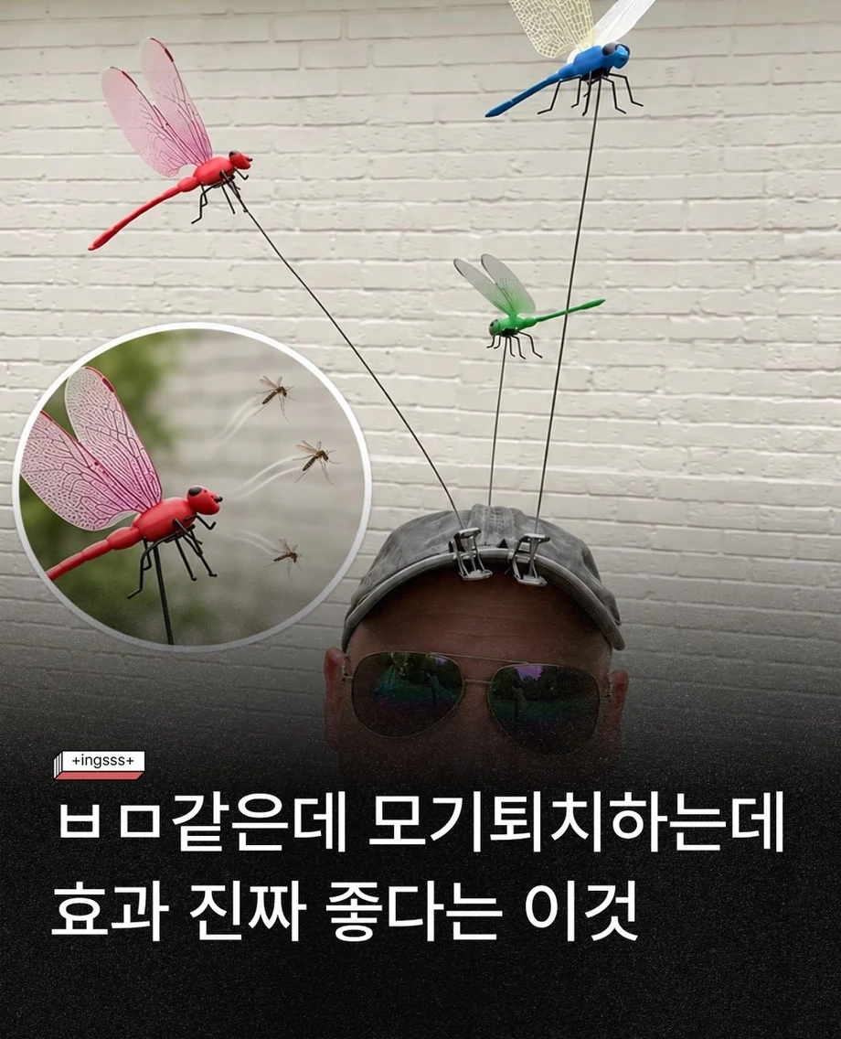모기 퇴치에 효과있는 아이템.jpg