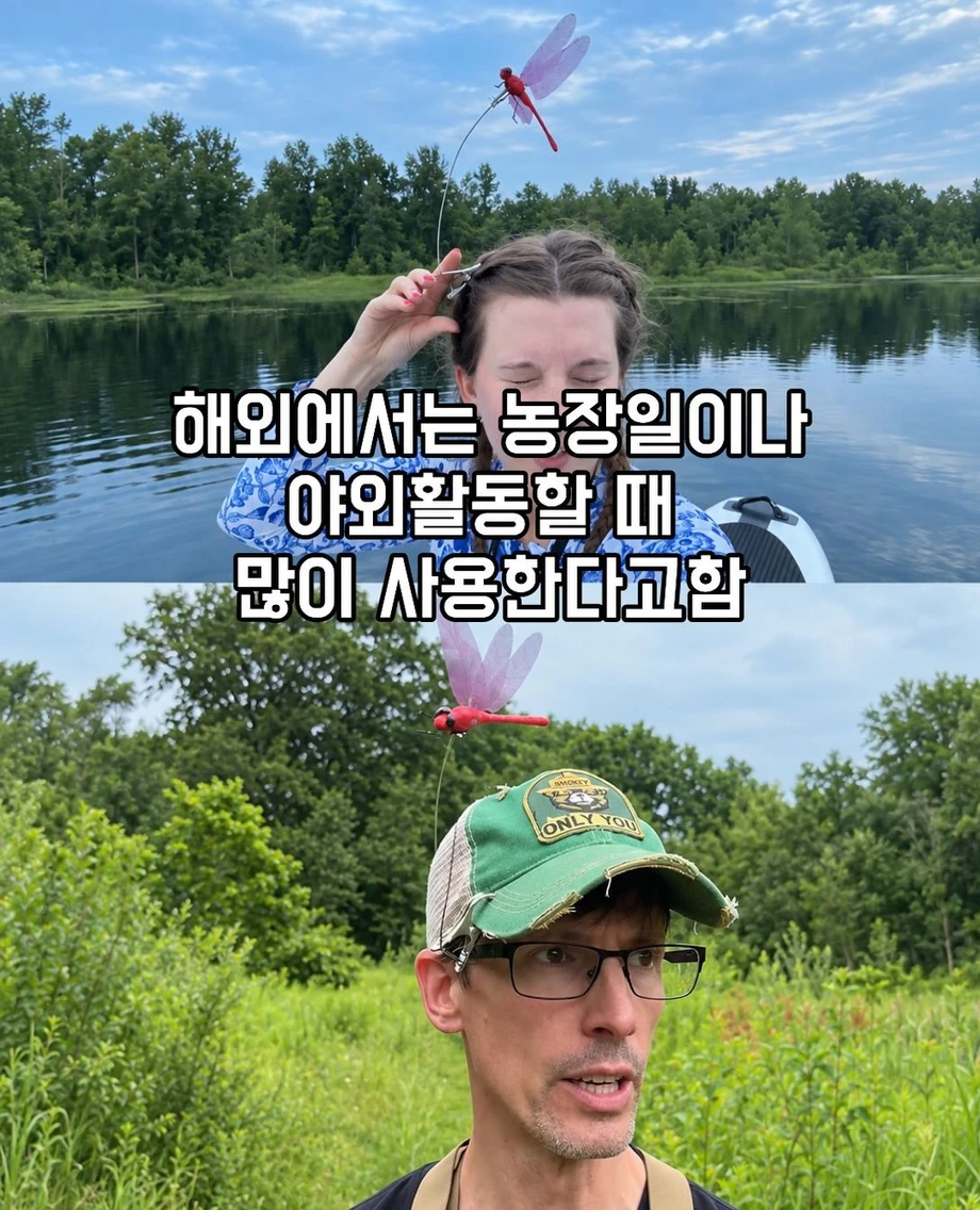 모기 퇴치에 효과있는 아이템.jpg