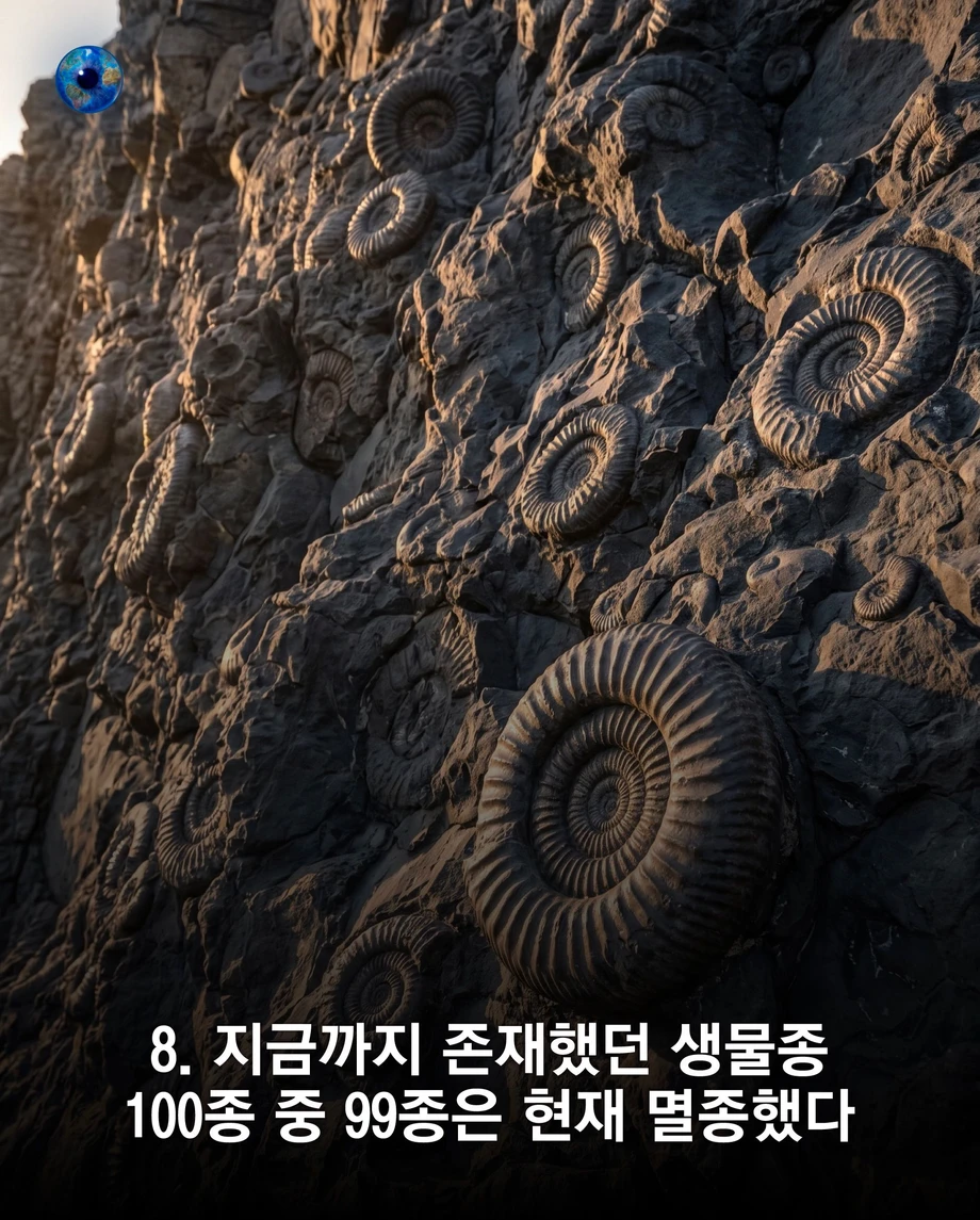 지구가 얼마나 오래됐는지 보여주는 무서운 사실들