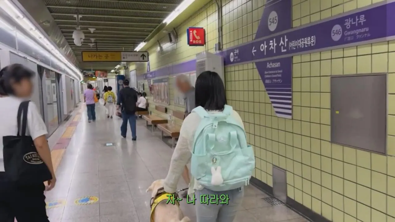 동생들에게 떡볶이 사주려 직접 사러간 시각장애인