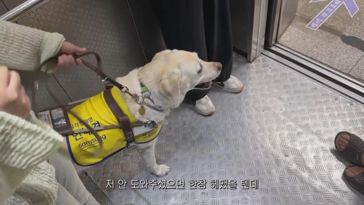 동생들에게 떡볶이 사주려 직접 사러간 시각장애인