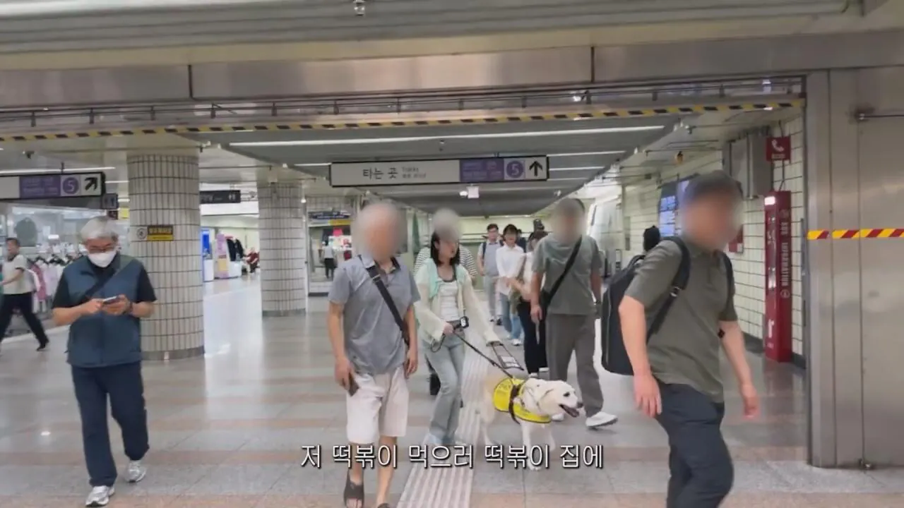 동생들에게 떡볶이 사주려 직접 사러간 시각장애인