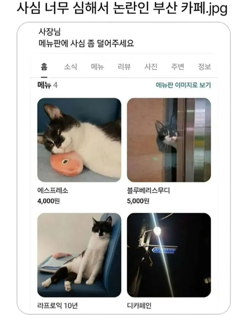 사심 너무 심해서 논란인 부산 카페.jpg