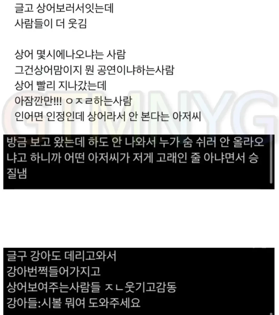싱글벙글 부산 상어 관람근황