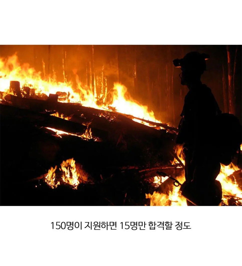 미국판 헬다이버즈