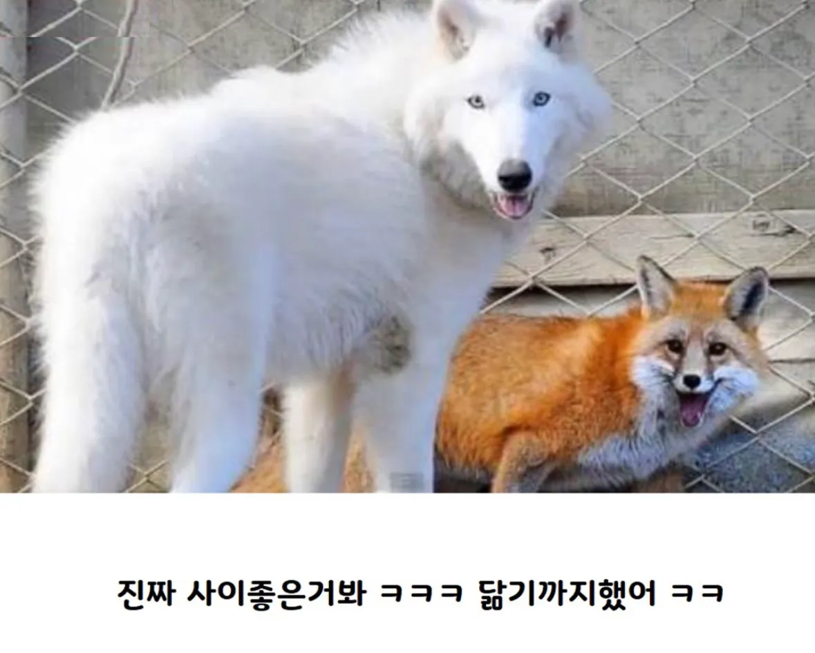 나 잡아 봐라 까르륵~