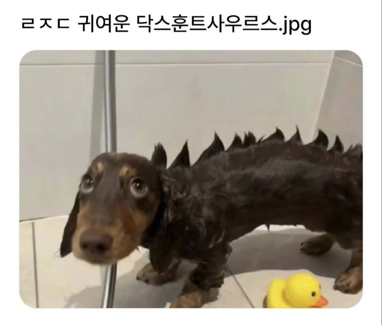 귀여운 닥스훈트사우르스.jpg