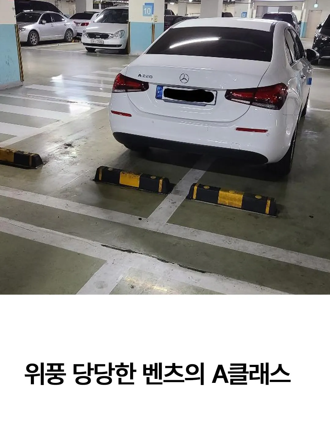 건들면 뒤질줄 알라는 벤츠 차주.jpg